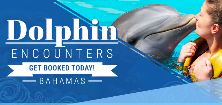 Bahamas Dolphin Encounters