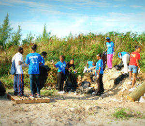 Celebrating Our Beaches with a Coastal Cleanup