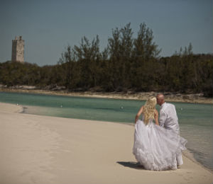 A Dolphin Swim Wedding Day