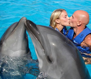 Bahamas Dolphin Encounter Is Enchanting