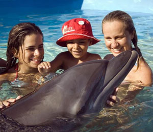 A Bahamas Dolphin Encounter Is A Blast For The Whole Family