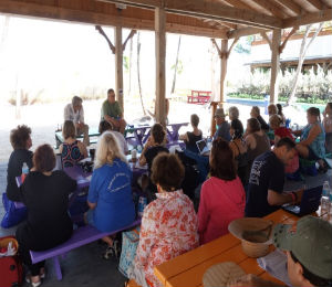 Writers From All Over Gather to Blue Lagoon Island